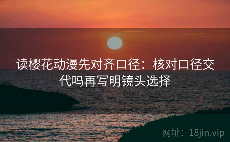 读樱花动漫先对齐口径：核对口径交代吗再写明镜头选择